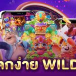 สล็อต แตกง่าย Wild Bandito